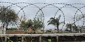 Standard Flat wrap and Concertina coil razor wire